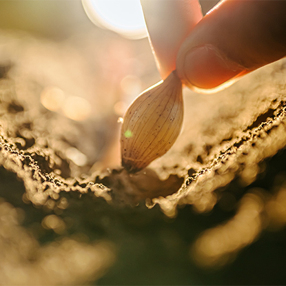 Pertanian dan Perhutanan